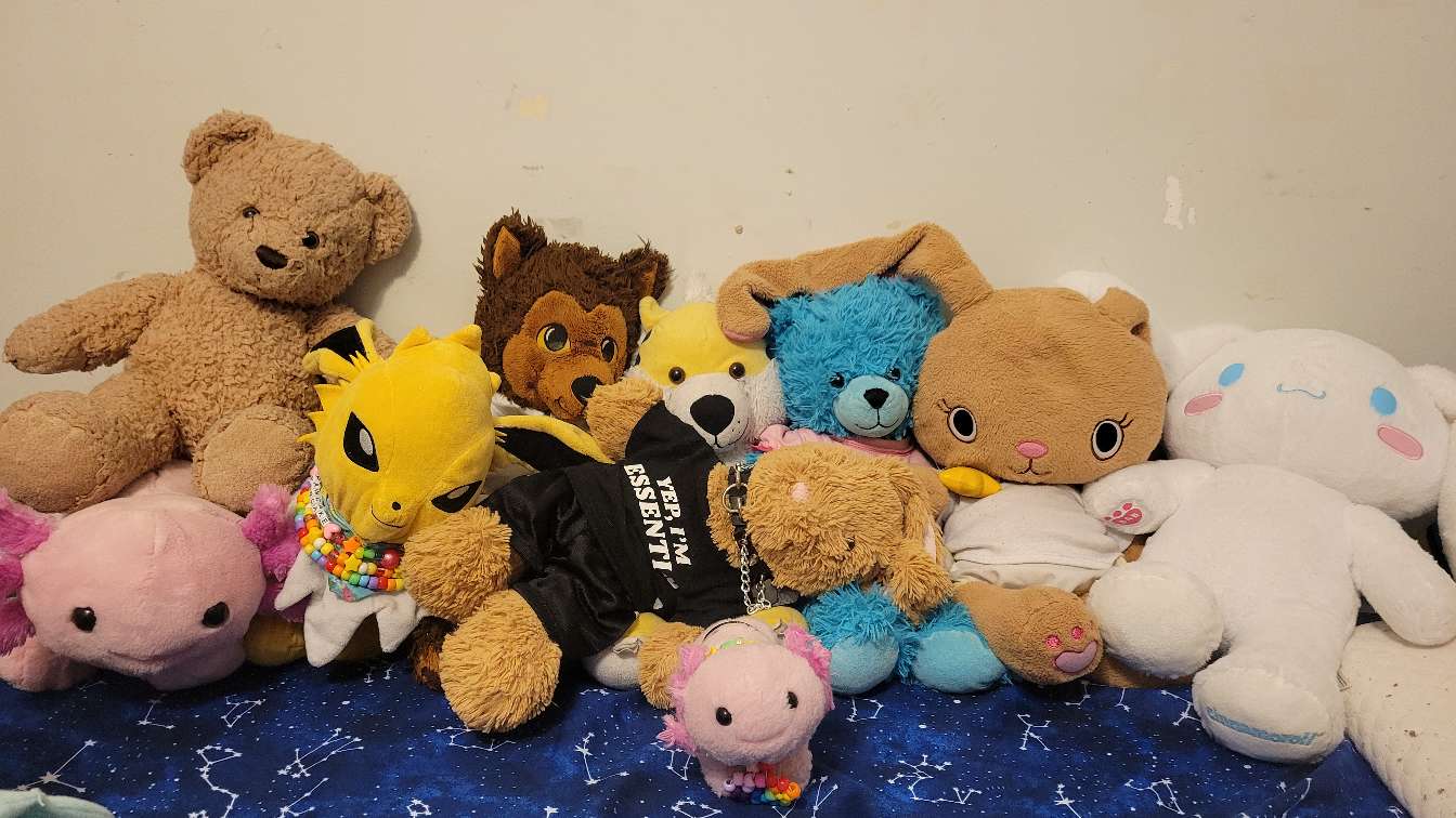 a picture of my build a bears